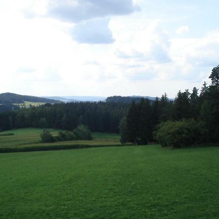 Haus Hoenigsgrub Rinchnach Zewnętrze zdjęcie